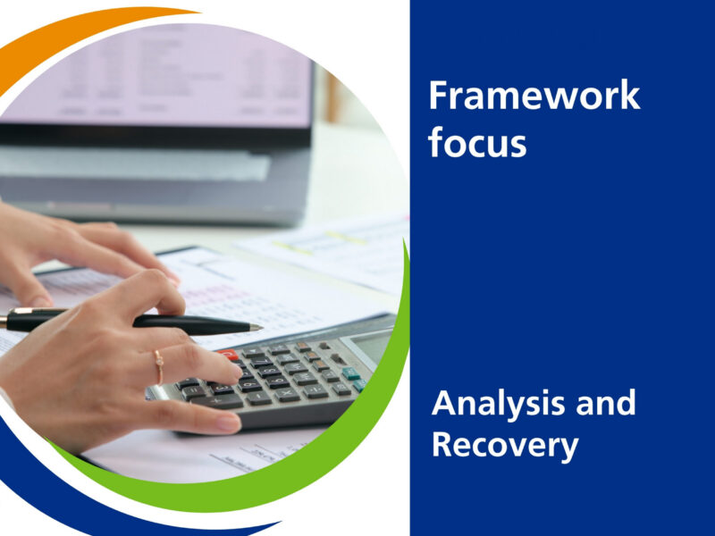 Framework focus: Analysis and Recovery