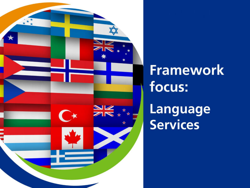 Framework focus: language services