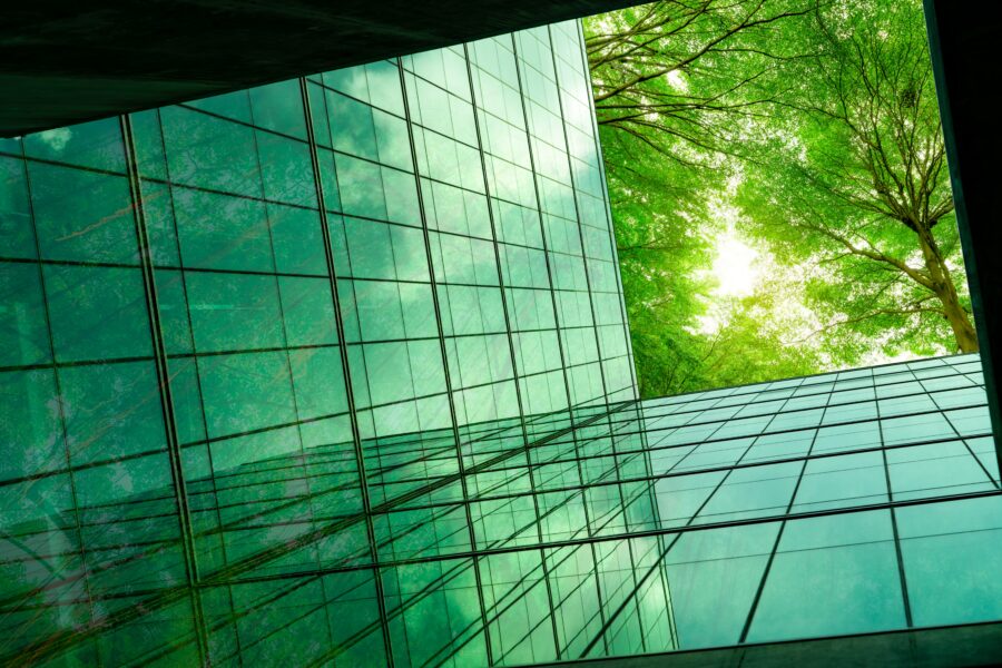 Trees and sunshine reflecting off a glass building